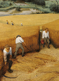 Pieter Bruegel painted this scene of Flemish working life called “The Harvesters” in 1565.